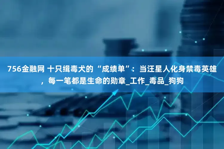 756金融网 十只缉毒犬的 “成绩单”：当汪星人化身禁毒英雄，每一笔都是生命的勋章_工作_毒品_狗狗